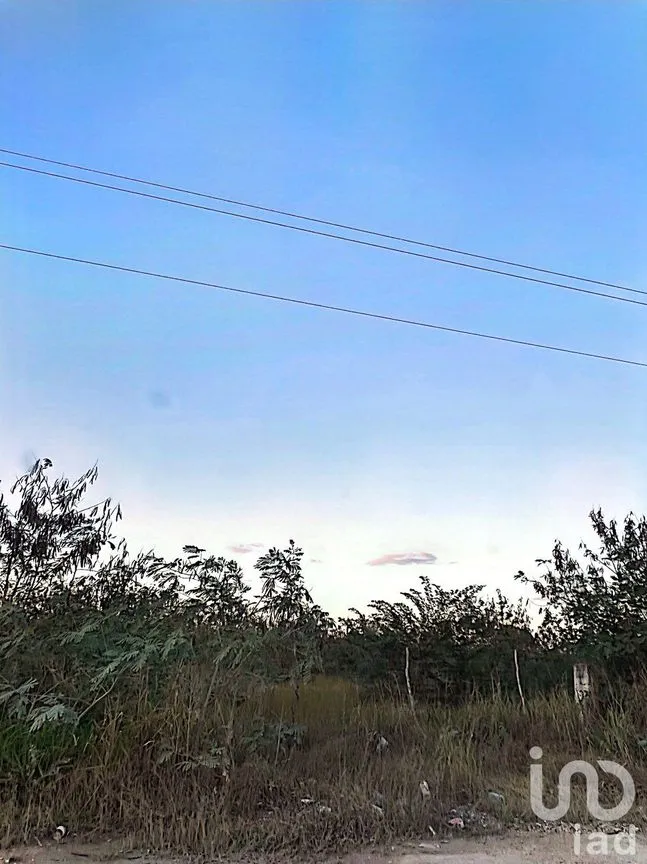 Terreno en Venta en Misnébalam, Mérida, Yucatán | NEX-161665 | iad México | Foto 16 de 18