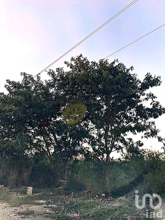 Terreno en Venta en Misnébalam, Mérida, Yucatán | NEX-161665 | iad México | Foto 17 de 18