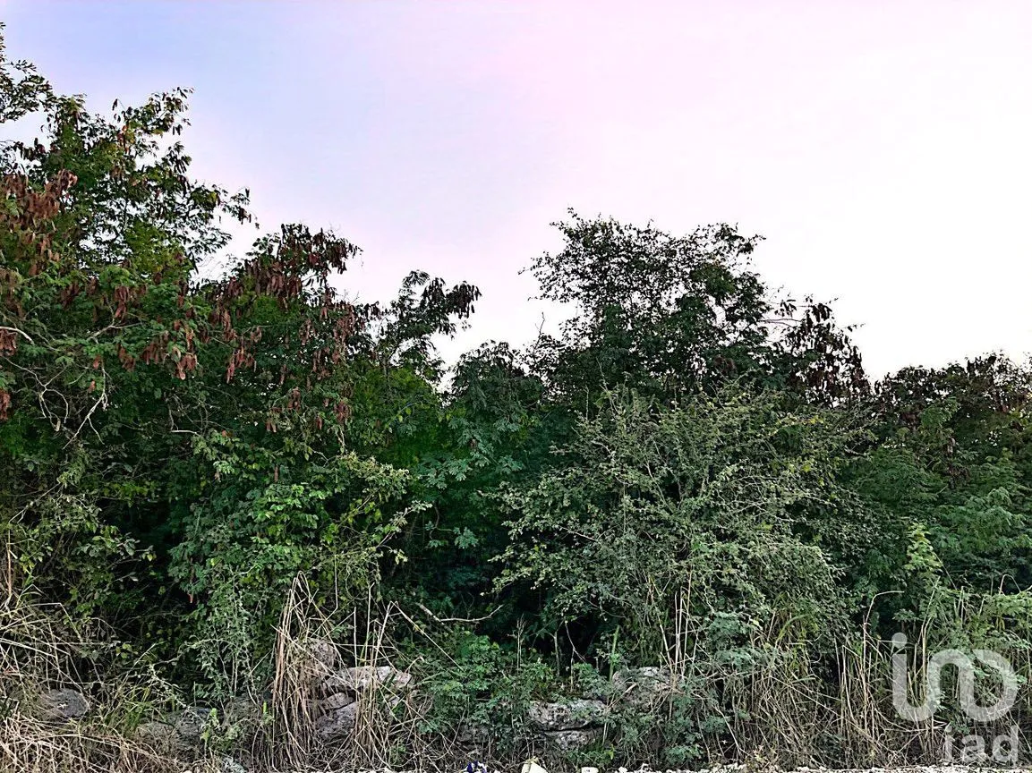 Terreno en Venta en Misnébalam, Mérida, Yucatán | NEX-161665 | iad México | Foto 10 de 18