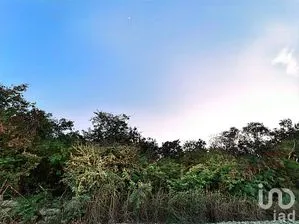 NEX-161665 - Terreno en Venta en Misnébalam, CP 97308, Yucatán.