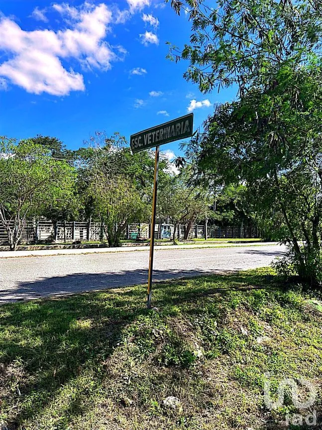 Terreno en Venta en Xmatkuil, Mérida, Yucatán | NEX-162173 | iad México | Foto 2 de 12