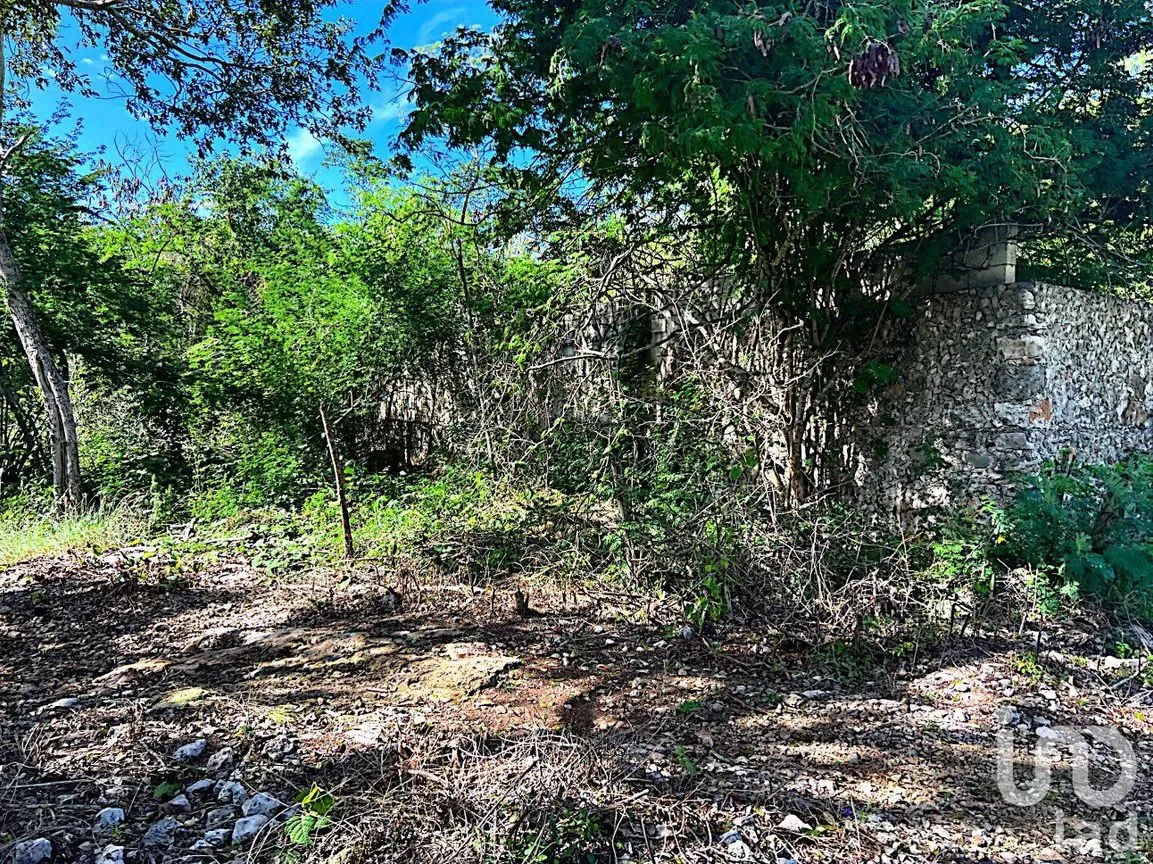 Terreno en Venta en Xmatkuil, Mérida, Yucatán | NEX-162173 | iad México | Foto 7 de 12