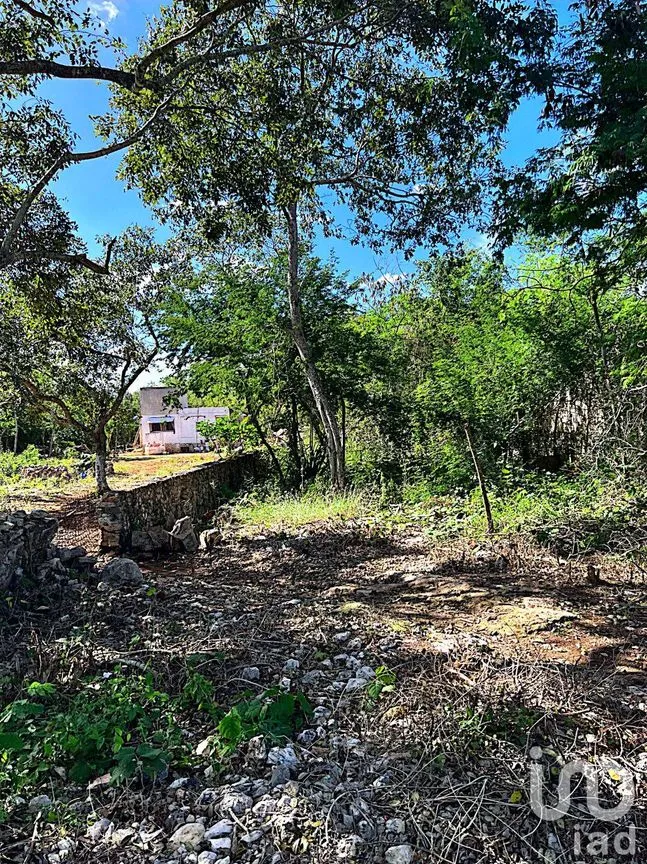 Terreno en Venta en Xmatkuil, Mérida, Yucatán | NEX-162173 | iad México | Foto 9 de 12