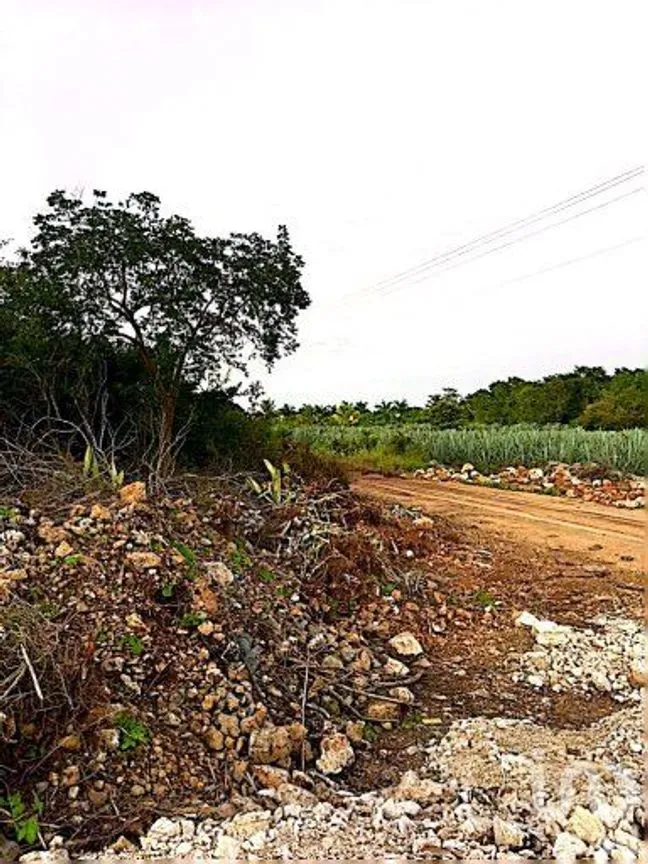 Terreno en Venta en Centro Hunucmá, Hunucmá, Yucatán | NEX-163768 | iad México | Foto 4 de 7