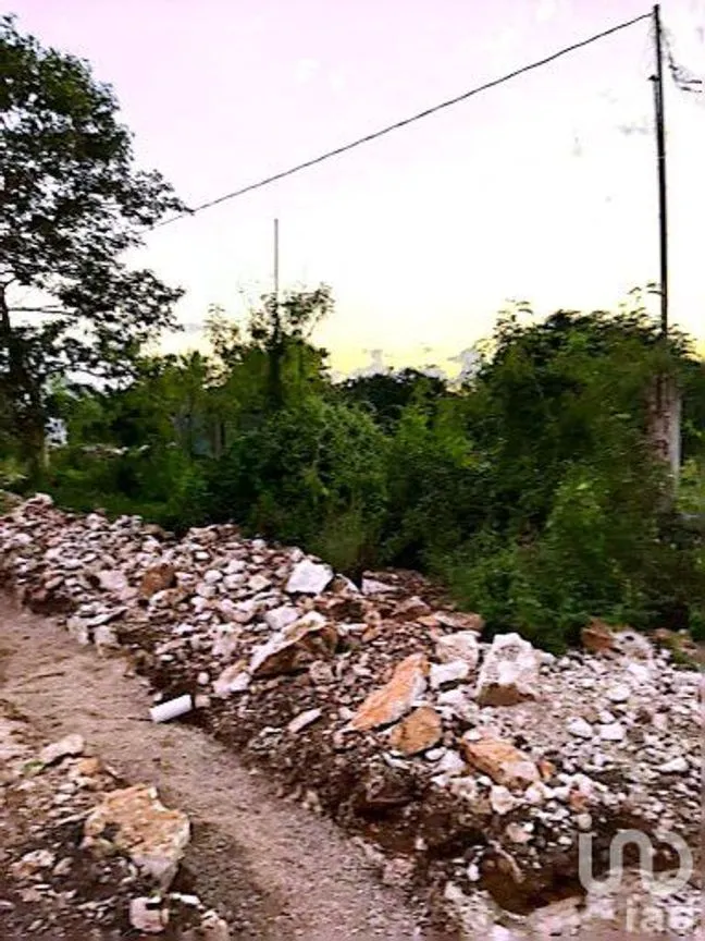 Terreno en Venta en Centro Hunucmá, Hunucmá, Yucatán | NEX-163768 | iad México | Foto 7 de 7