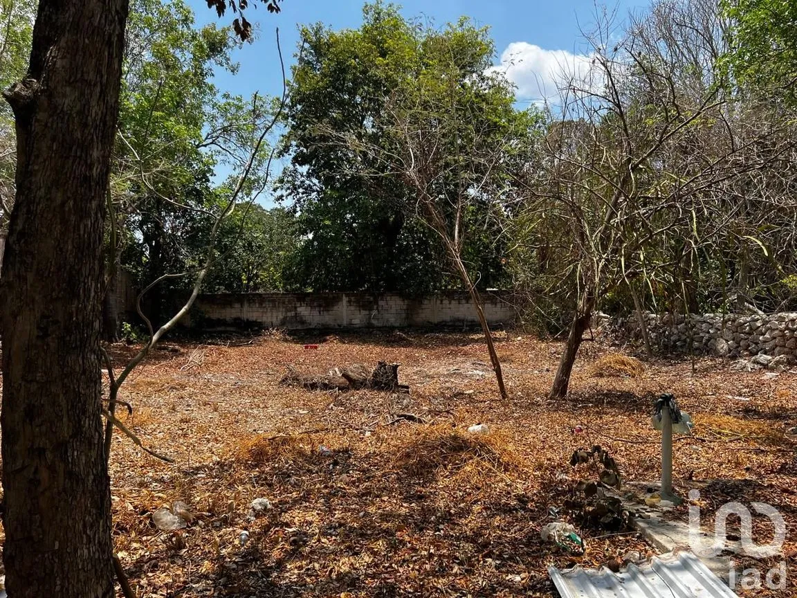 Terreno en Renta en Centro Hunucmá, Hunucmá, Yucatán | NEX-183498 | iad México | Foto 11 de 13