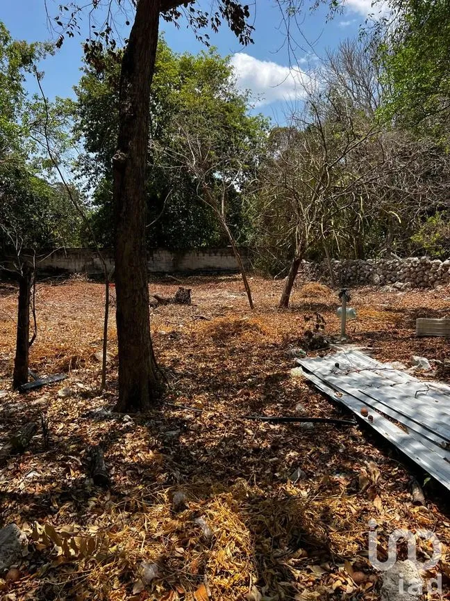 Terreno en Renta en Centro Hunucmá, Hunucmá, Yucatán | NEX-183498 | iad México | Foto 12 de 13