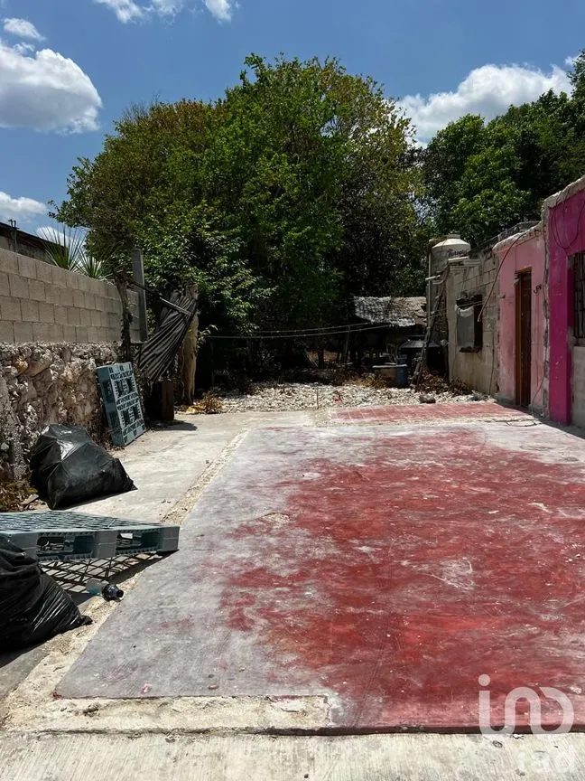 Terreno en Renta en Centro Hunucmá, Hunucmá, Yucatán | NEX-183498 | iad México | Foto 3 de 13