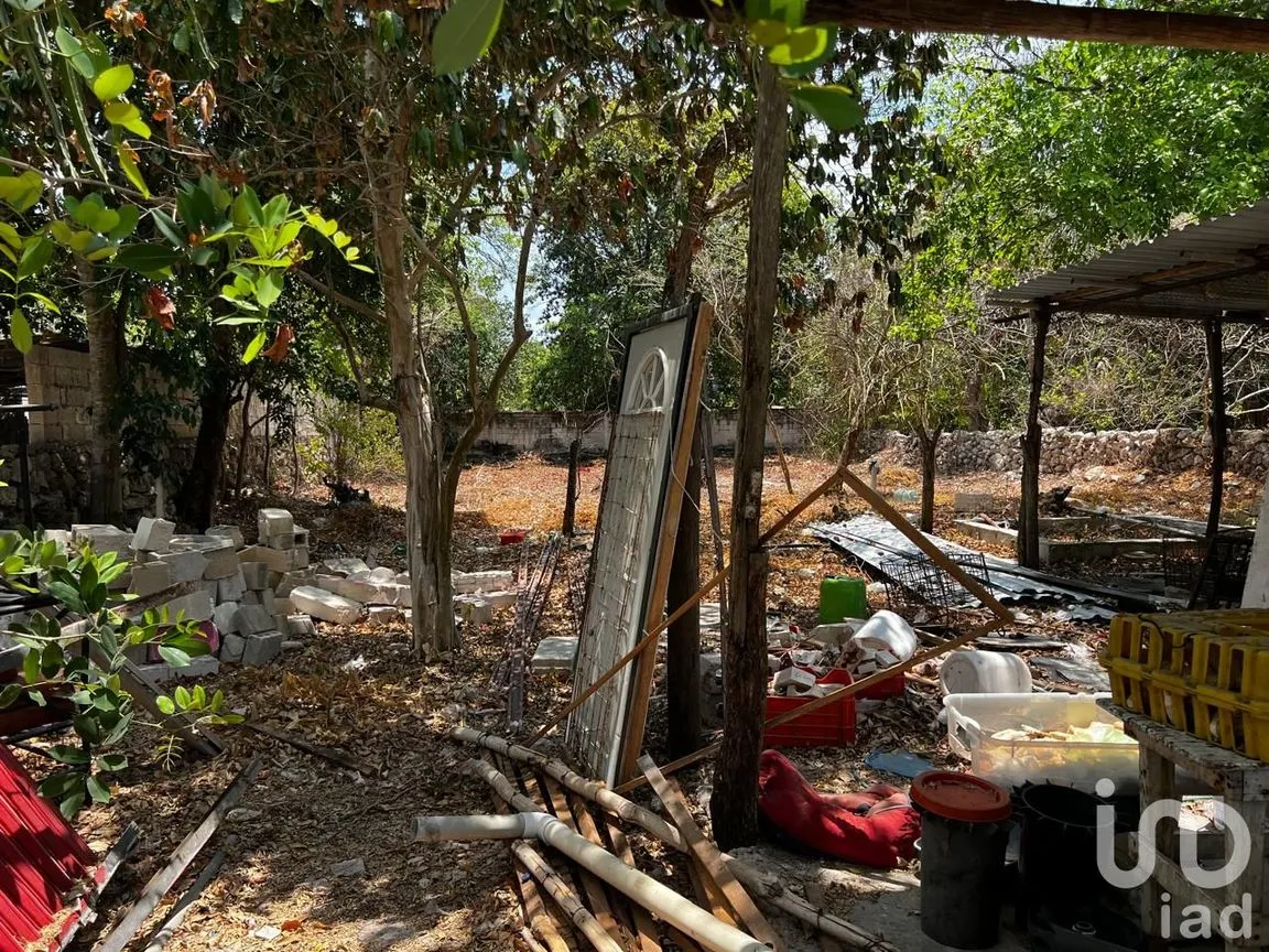 Terreno en Renta en Centro Hunucmá, Hunucmá, Yucatán | NEX-183498 | iad México | Foto 4 de 13