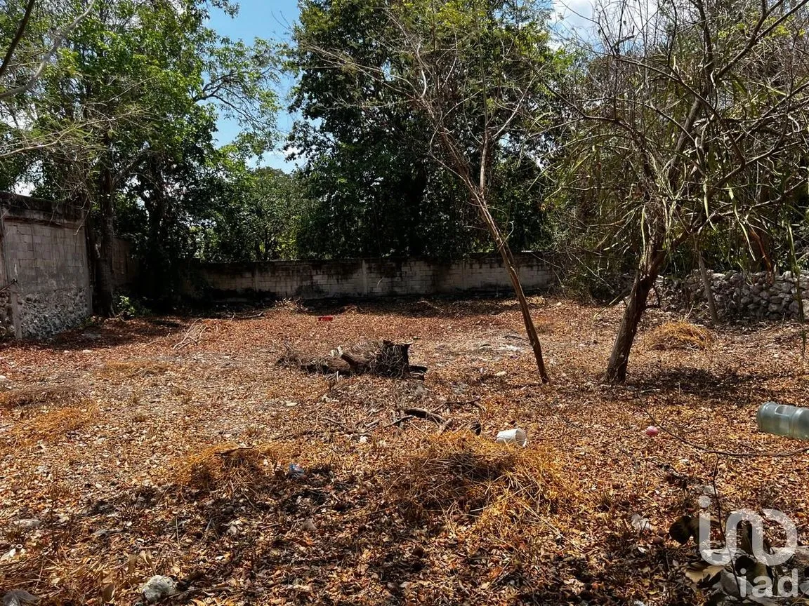 Terreno en Renta en Centro Hunucmá, Hunucmá, Yucatán | NEX-183498 | iad México | Foto 7 de 13