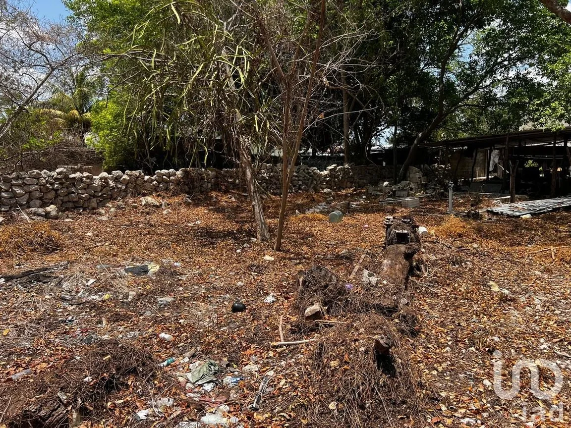 Terreno en Renta en Centro Hunucmá, Hunucmá, Yucatán | NEX-183498 | iad México | Foto 8 de 13