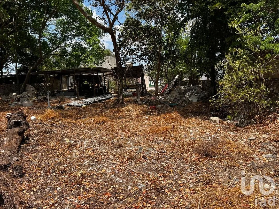 Terreno en Renta en Centro Hunucmá, Hunucmá, Yucatán | NEX-183498 | iad México | Foto 9 de 13