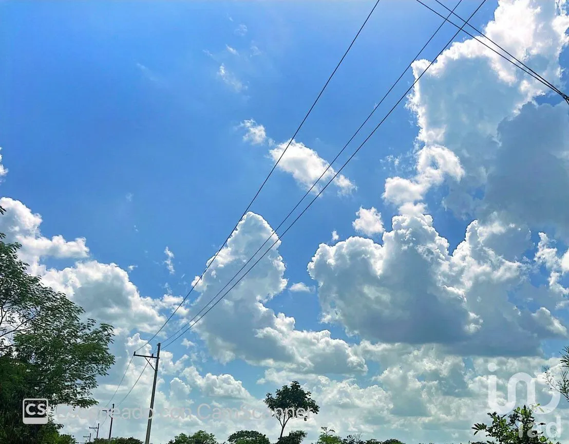 Terreno en Venta en Komchén, Mérida, Yucatán | NEX-186808 | iad México | Foto 11 de 12
