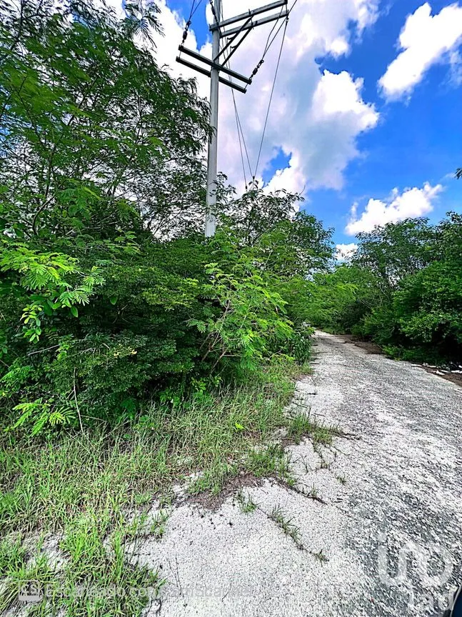 Terreno en Venta en Komchén, Mérida, Yucatán | NEX-186808 | iad México | Foto 4 de 12