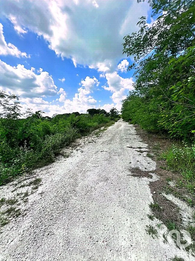 Terreno en Venta en Komchén, Mérida, Yucatán | NEX-186808 | iad México | Foto 6 de 12