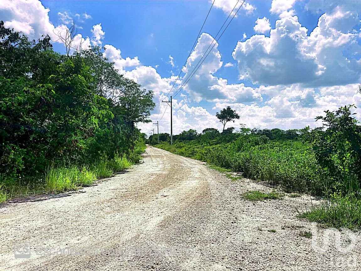 Terreno en Venta en Komchén, Mérida, Yucatán | NEX-186808 | iad México | Foto 7 de 12