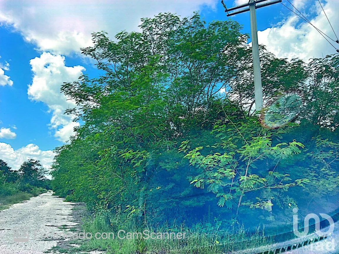 Terreno en Venta en Komchén, Mérida, Yucatán | NEX-186808 | iad México | Foto 8 de 12