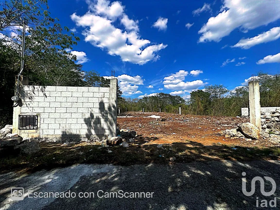 Terreno en Venta en Kinchil, Kinchil, Yucatán | NEX-195599 | iad México | Foto 10 de 18