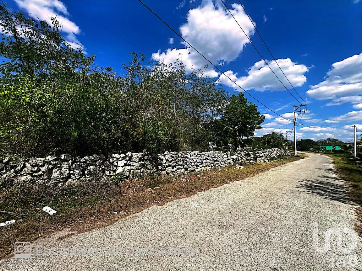 Terreno en Venta en Kinchil, Kinchil, Yucatán | NEX-195599 | iad México | Foto 1 de 18