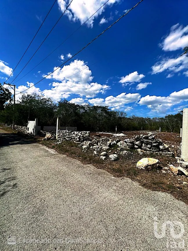 Terreno en Venta en Kinchil, Kinchil, Yucatán | NEX-195629 | iad México | Foto 2 de 18