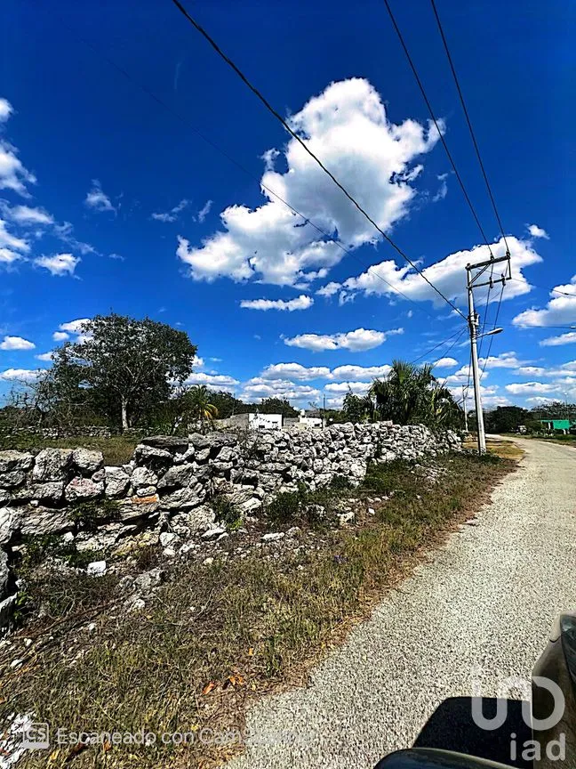 Terreno en Venta en Kinchil, Kinchil, Yucatán | NEX-195629 | iad México | Foto 12 de 18