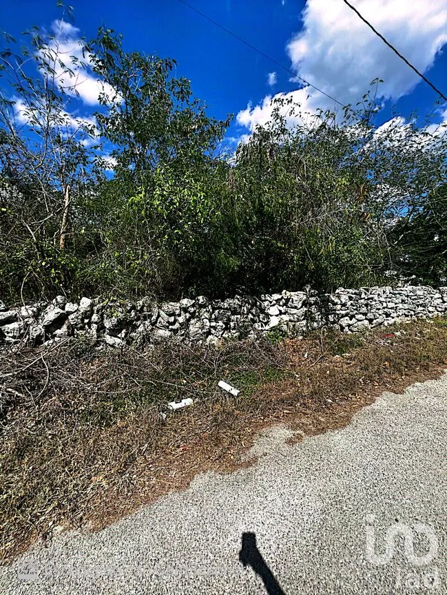 Terreno en Venta en Kinchil, Kinchil, Yucatán | NEX-195629 | iad México | Foto 13 de 18