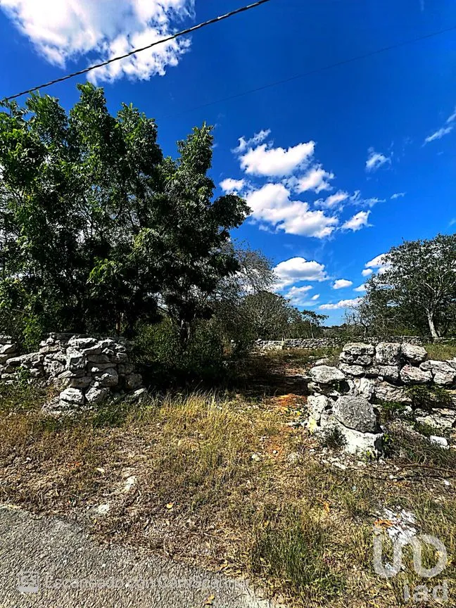 Terreno en Venta en Kinchil, Kinchil, Yucatán | NEX-195629 | iad México | Foto 15 de 18