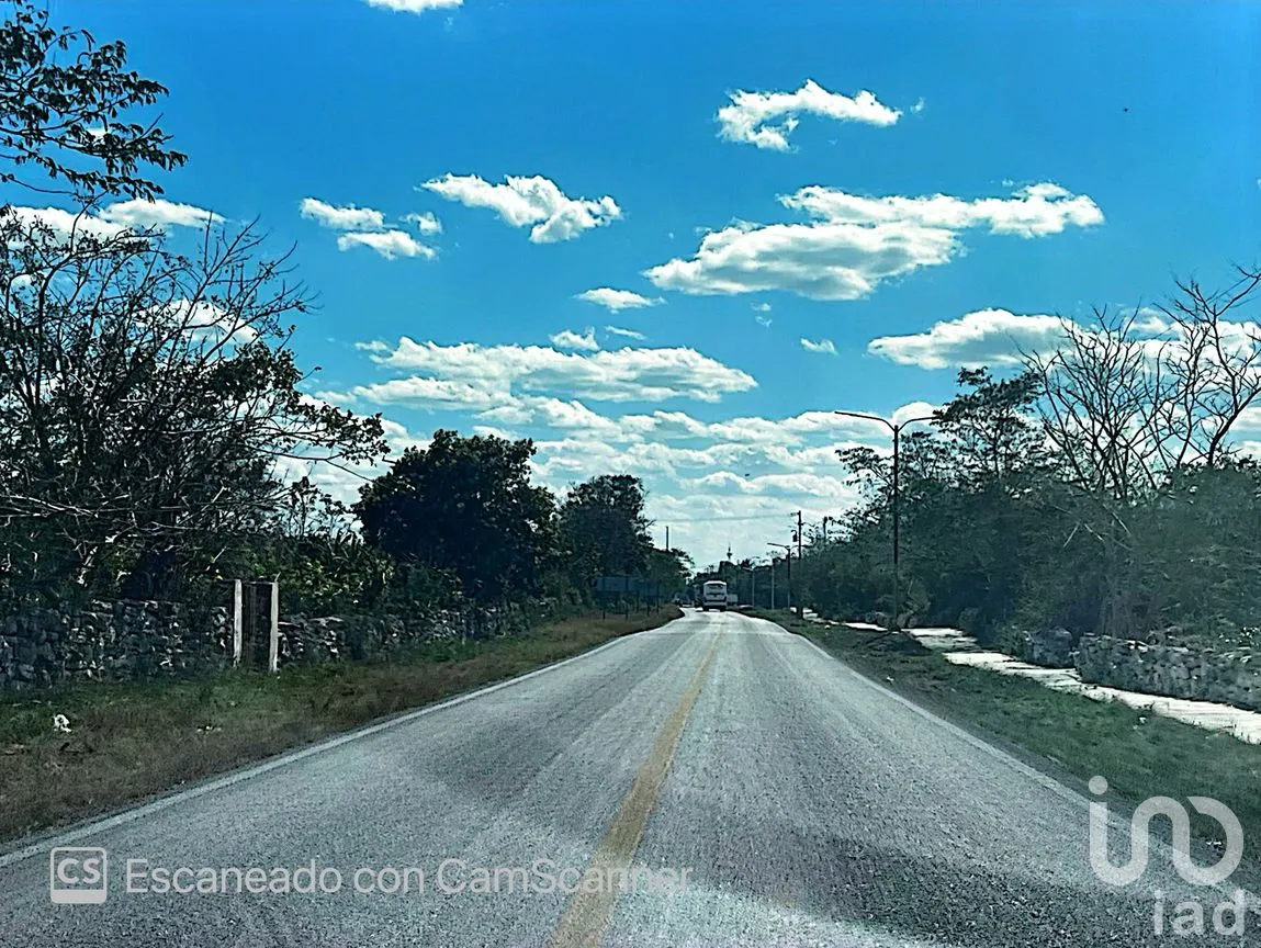Terreno en Venta en Kinchil, Kinchil, Yucatán | NEX-195629 | iad México | Foto 16 de 18