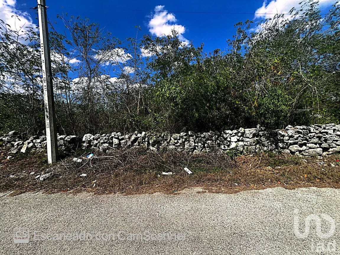 Terreno en Venta en Kinchil, Kinchil, Yucatán | NEX-195629 | iad México | Foto 3 de 18