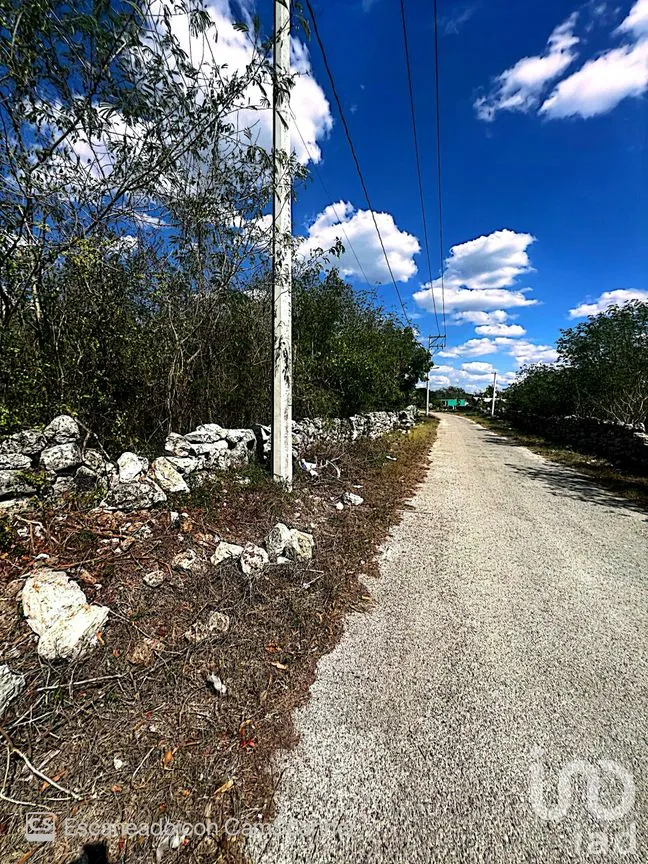 Terreno en Venta en Kinchil, Kinchil, Yucatán | NEX-195629 | iad México | Foto 5 de 18