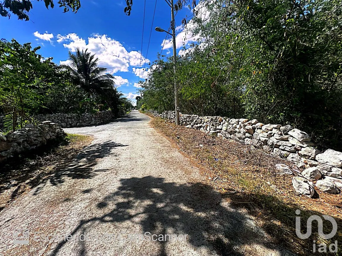 Terreno en Venta en Kinchil, Kinchil, Yucatán | NEX-195629 | iad México | Foto 6 de 18