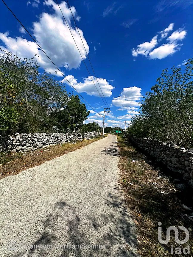 Terreno en Venta en Kinchil, Kinchil, Yucatán | NEX-195629 | iad México | Foto 7 de 18