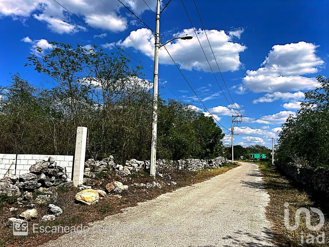 Terreno en Venta en Kinchil, Kinchil, Yucatán | NEX-195629 | iad México | Foto 8 de 18