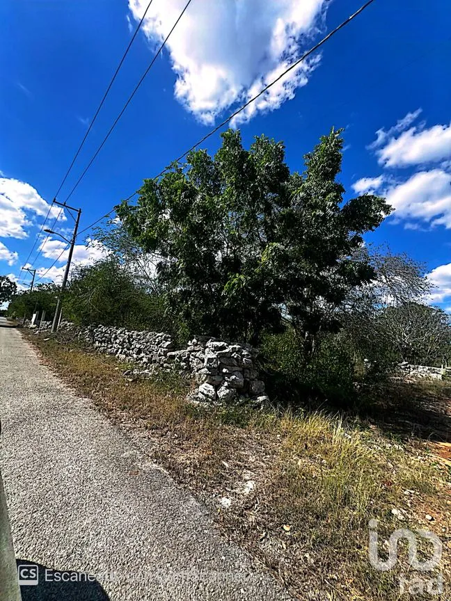 Terreno en Venta en Kinchil, Kinchil, Yucatán | NEX-195629 | iad México | Foto 1 de 18