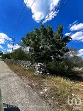 NEX-195629 - Terreno en Venta en Kinchil, CP 97360, Yucatán.
