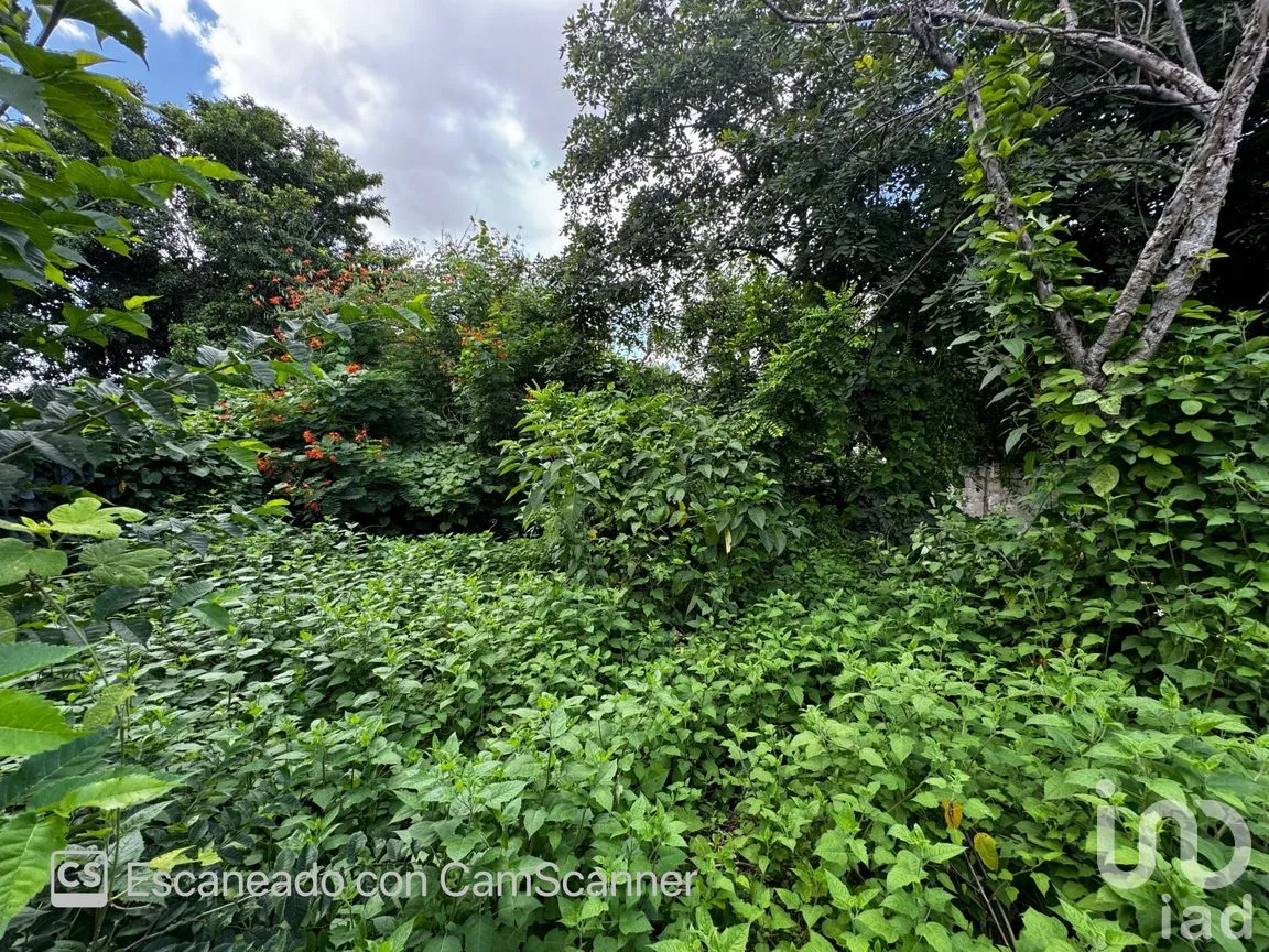 Casa en Venta en Mérida Centro, Mérida, Yucatán | NEX-233893 | iad México | Foto 12 de 12