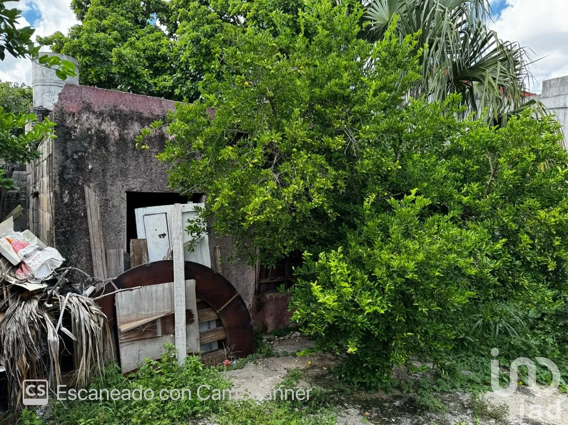 Casa en Venta en Mérida Centro, Mérida, Yucatán | NEX-233893 | iad México | Foto 3 de 12