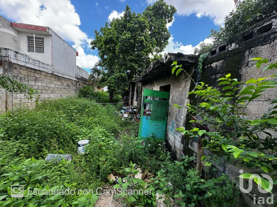 Casa en Venta en Mérida Centro, Mérida, Yucatán | NEX-233893 | iad México | Foto 4 de 12