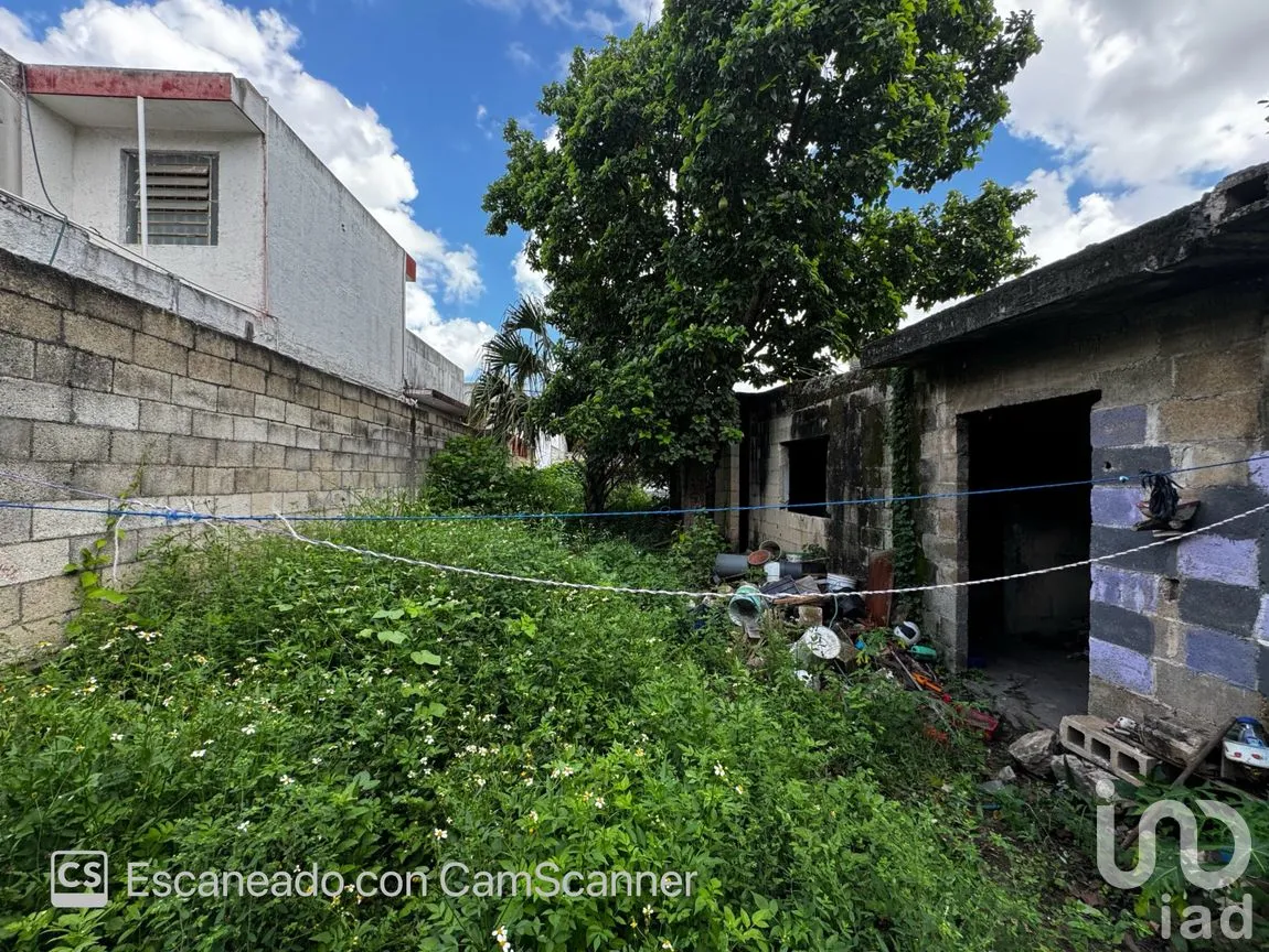 Casa en Venta en Mérida Centro, Mérida, Yucatán | NEX-233893 | iad México | Foto 5 de 12
