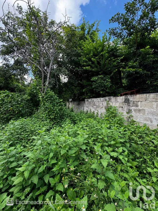Casa en Venta en Mérida Centro, Mérida, Yucatán | NEX-233893 | iad México | Foto 6 de 12