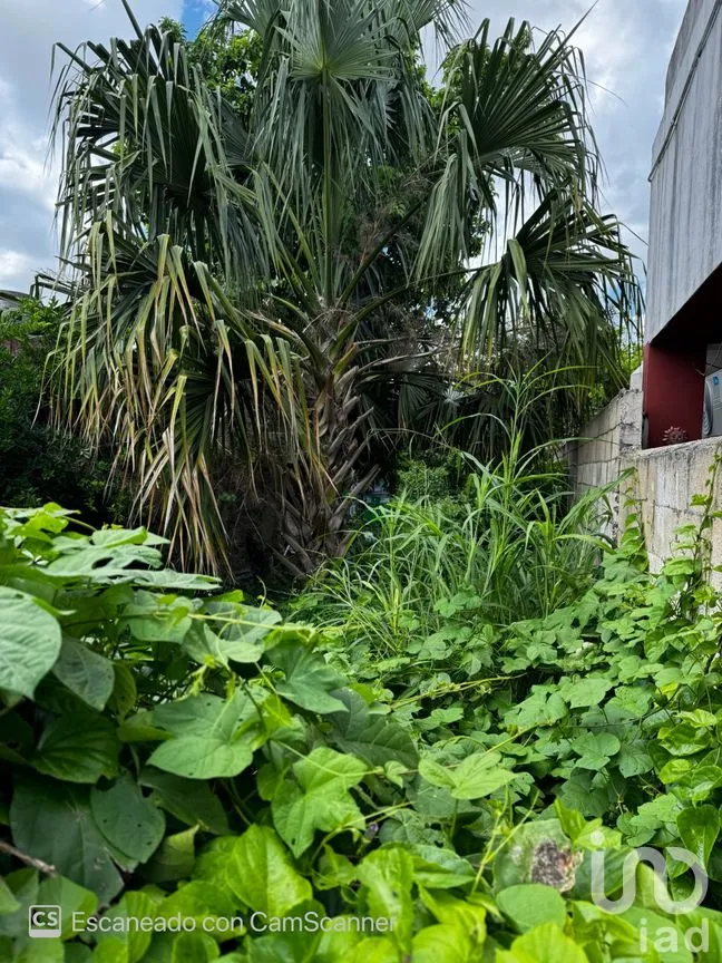 Casa en Venta en Mérida Centro, Mérida, Yucatán | NEX-233893 | iad México | Foto 7 de 12