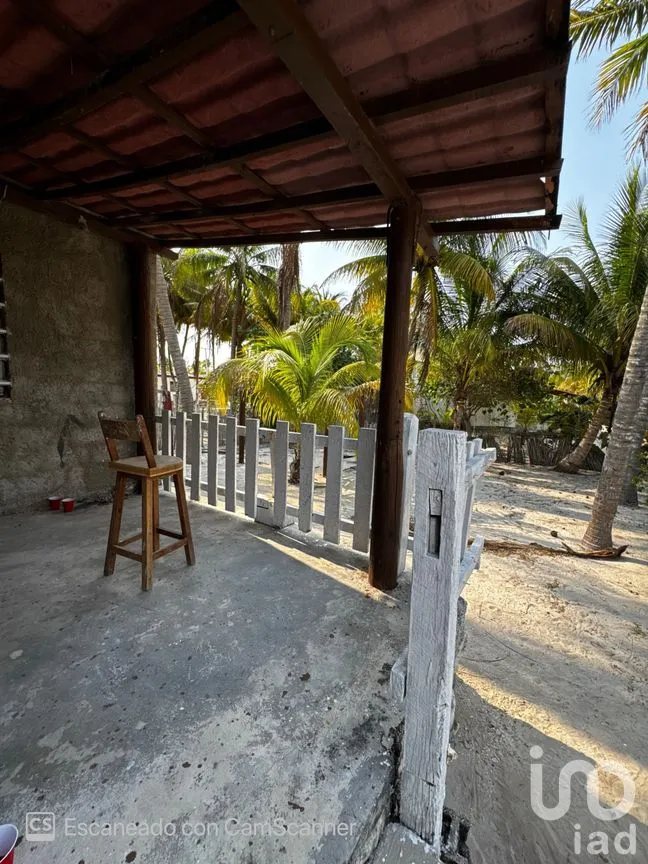 Casa en Renta en San Crisanto, Sinanché, Yucatán | NEX-297898 | iad México | Foto 11 de 23