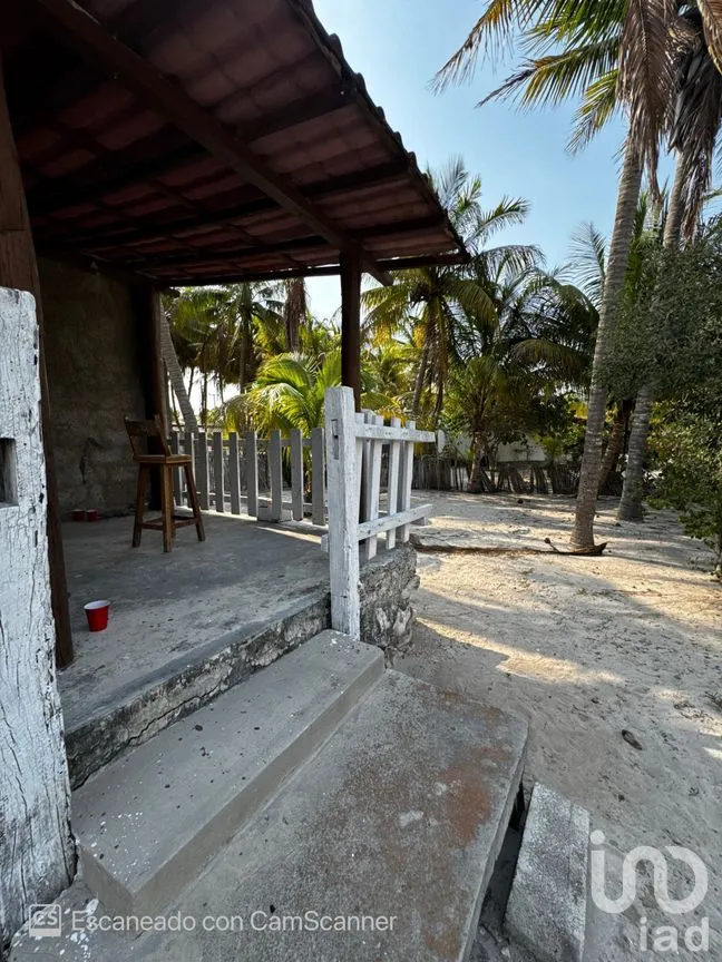 Casa en Renta en San Crisanto, Sinanché, Yucatán | NEX-297898 | iad México | Foto 14 de 23