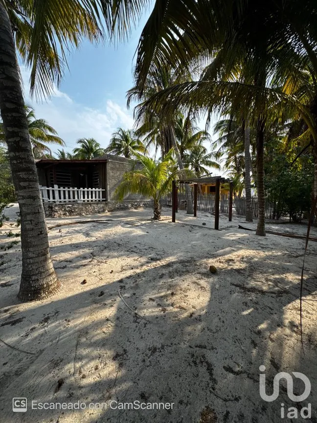 Casa en Renta en San Crisanto, Sinanché, Yucatán | NEX-297898 | iad México | Foto 15 de 23