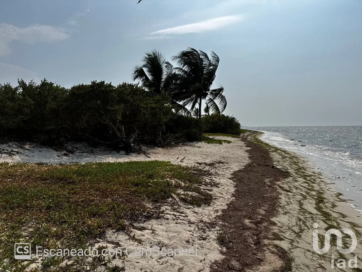 Casa en Renta en San Crisanto, Sinanché, Yucatán | NEX-297898 | iad México | Foto 16 de 23