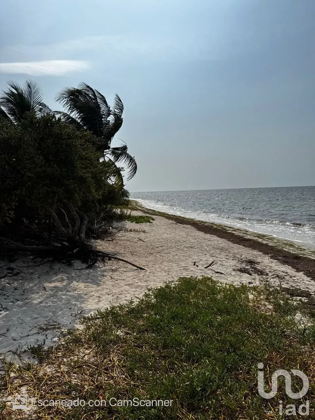 Casa en Renta en San Crisanto, Sinanché, Yucatán | NEX-297898 | iad México | Foto 17 de 23