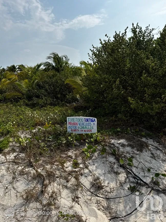 Casa en Renta en San Crisanto, Sinanch é, Yucatán | NEX-297898 | iad México | Foto 18 de 23