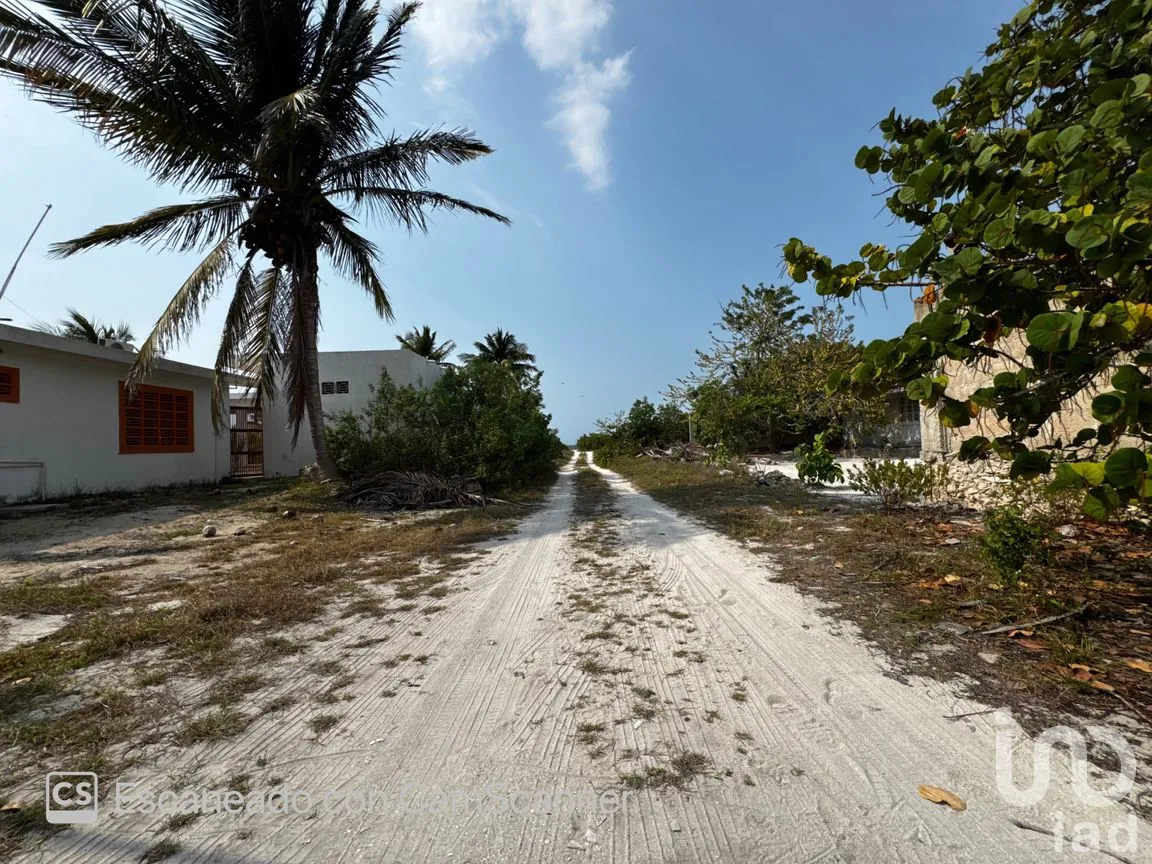 Casa en Renta en San Crisanto, Sinanché, Yucatán | NEX-297898 | iad México | Foto 19 de 23