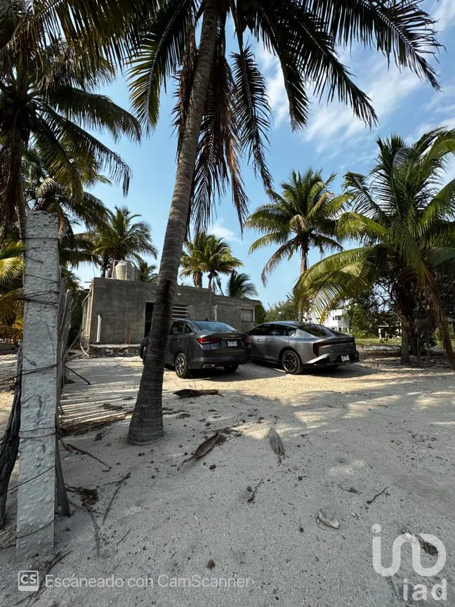 Casa en Renta en San Crisanto, Sinanché, Yucatán | NEX-297898 | iad México | Foto 5 de 23