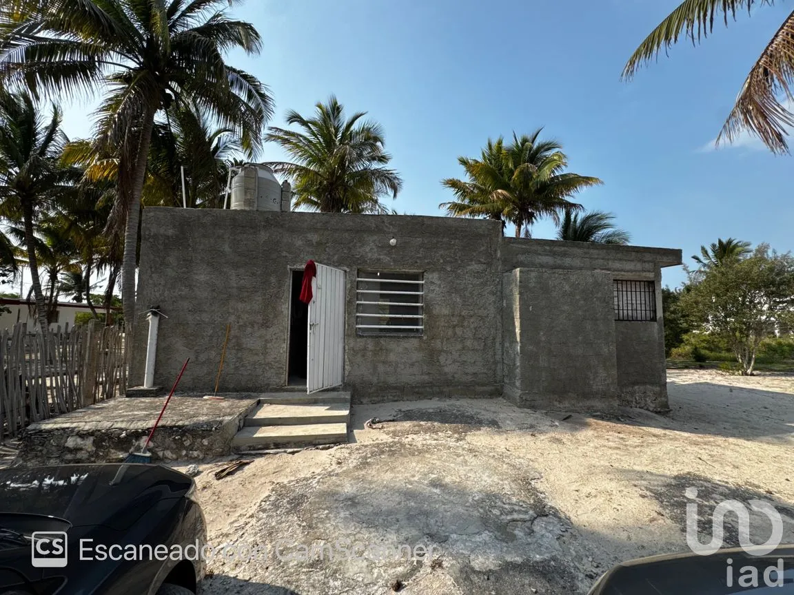 Casa en Renta en San Crisanto, Sinanché, Yucatán | NEX-297898 | iad México | Foto 6 de 23